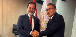 Proposta da AMIG cria comitê mineral para a América Latina