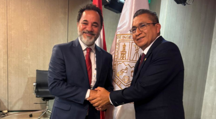 Proposta da AMIG cria comitê mineral para a América Latina