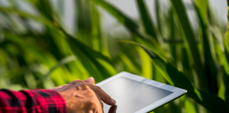 Agro 5.0 impulsiona tecnologia e estratégia no setor