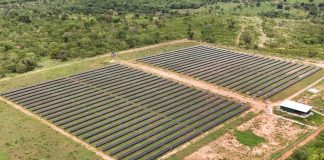 Cresce busca por assinaturas de energia solar no Brasil