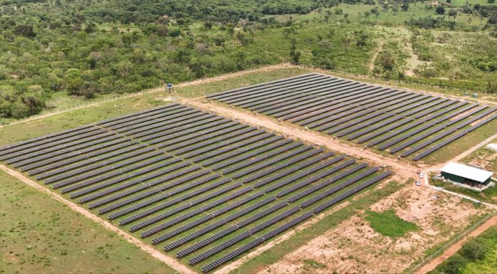 Cresce busca por assinaturas de energia solar no Brasil