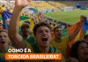 Torcida brasileira: pesquisa revela como os fãs se comportam