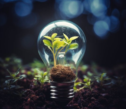 Projeto Conexões em Teias no Energy Summit traz inovação