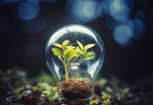 Projeto Conexões em Teias no Energy Summit traz inovação