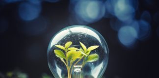 Projeto Conexões em Teias traz inovação ao MIT Energy Summit
