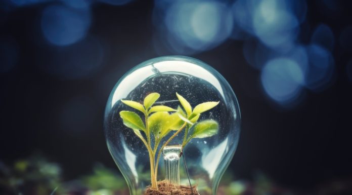 Projeto Conexões em Teias traz inovação ao MIT Energy Summit