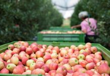 Umidade e a temperatura ameaçam exportação de alimentos