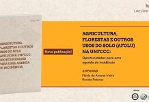 LACLIMA examina uso da terra no regime climático global