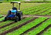Crédito estruturado apoia mecanização da cafeicultura
