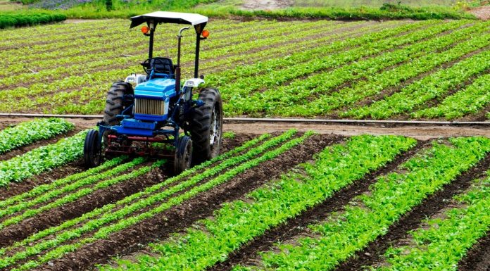 Crédito estruturado apoia mecanização da cafeicultura
