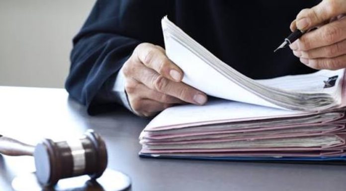 Procjus conecta advogados a casos de Juizado Especial - JEC