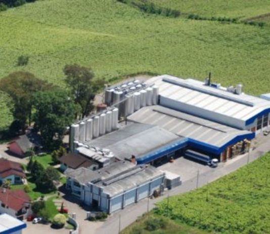 Galiotto chega aos 60 anos apostando em gestão familiar
