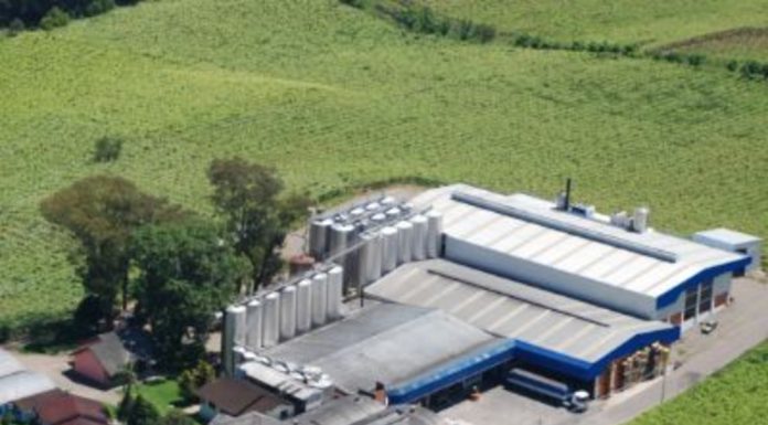 Galiotto chega aos 60 anos apostando em gestão familiar