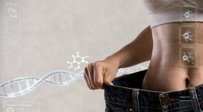 Tratamento para obesidade ganha novo modelo clínico Tratamento para obesidade ganha novo modelo clínico