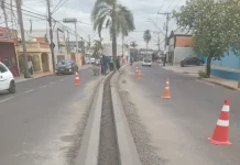 Botucatu: Transformação da Avenida Vital Brasil avança com reconstrução dos canteiros centrais