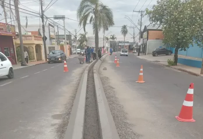 canteiro-central-vital-brasil-100626