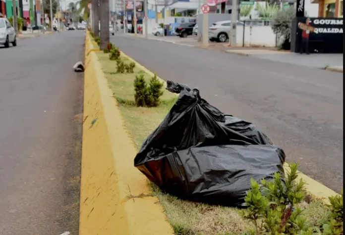 lixo-canteiro-avenida-botucatu-100626