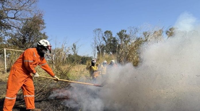 Botucatu receberá equipamentos para reforçar combate às queimadas; veja riscos, multas e reforço da Defesa Civil