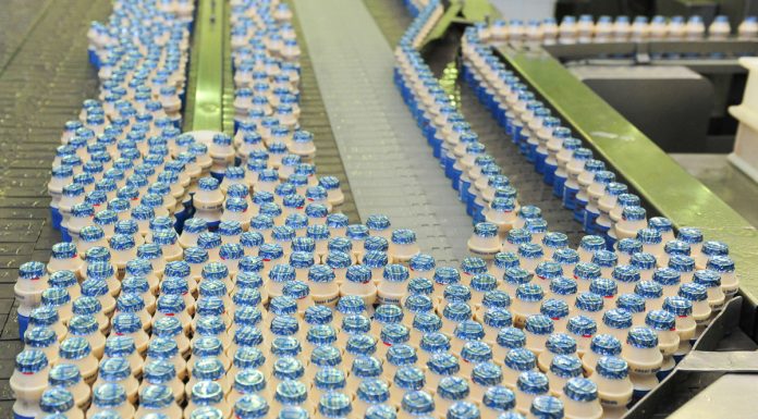 Yakult 40 light completa 10 anos de mercado