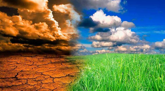 El Niño provoca uma série de impactos climáticos