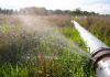 Estudo de 2026 revela aumento nas perdas de água potável