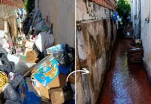 Acúmulo dentro de casa vira risco para vizinhos e mobiliza retirada de seis caminhões de resíduos em Botucatu