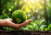 Avant amplia iniciativas de sustentabilidade
