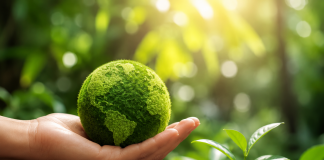Avant amplia iniciativas de sustentabilidade