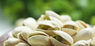 Crescimento do mercado global de pistaches