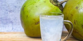 Água de coco ganha espaço no consumo saudável no Brasil