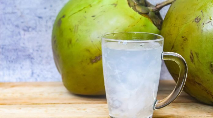 Água de coco ganha espaço no consumo saudável no Brasil
