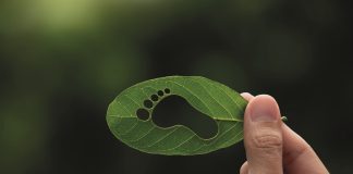 Eficiência Energética com resultados para empresas