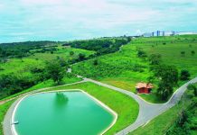 Sustentabilidade transforma indústria farmacêutica