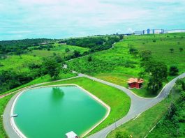 Sustentabilidade transforma indústria farmacêutica