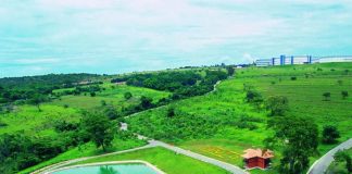Sustentabilidade transforma indústria farmacêutica Sustentabilidade transforma indústria farmacêutica