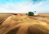 Grupo do agro aprova recuperação judicial com deságio de 85%