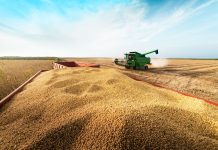 Grupo do agro aprova recuperação judicial com deságio de 85%