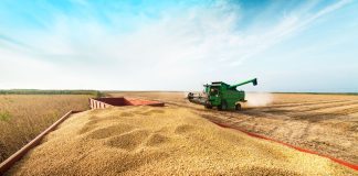 Grupo do agro aprova recuperação judicial com deságio de 85% Grupo do agro aprova recuperação judicial com deságio de 85%