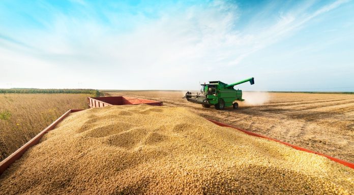 Grupo do agro aprova recuperação judicial com deságio de 85%