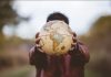 El Niño pressiona mundo do trabalho e desafia empresas El Niño pressiona mundo do trabalho e desafia empresas