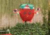 Festa de Flores e Morangos de Atibaia apresenta novidades