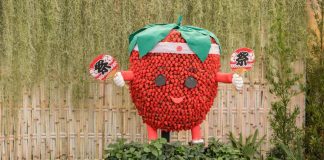 Festa de Flores e Morangos de Atibaia apresenta novidades Festa de Flores e Morangos de Atibaia apresenta novidades