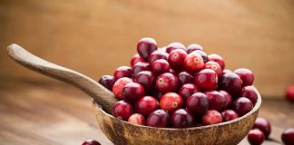Novas evidências científicas sobre o uso de cranberries