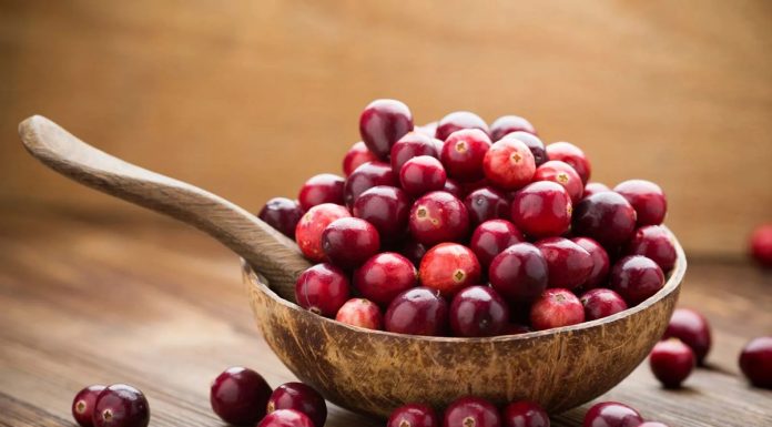 Novas evidências científicas sobre o uso de cranberries Novas evidências científicas sobre o uso de cranberries