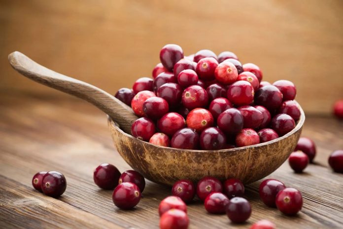 Novas evidências científicas sobre o uso de cranberries Novas evidências científicas sobre o uso de cranberries