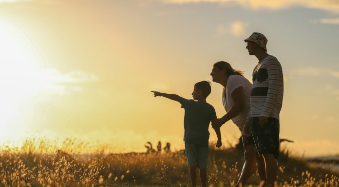 Seguro de vida registra aumento no primeiro semestre de 2026