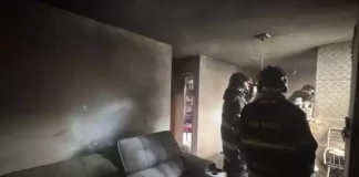 Bombeiros encontram cão escondido sob sofá após incêndio em apartamento de Botucatu