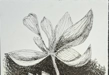 Exposição “UNA”, de Roberto Galvão, reúne obras em Fortaleza