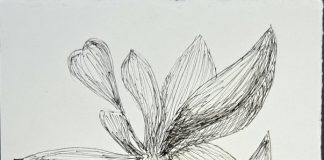 Exposição “UNA”, de Roberto Galvão, reúne obras em Fortaleza