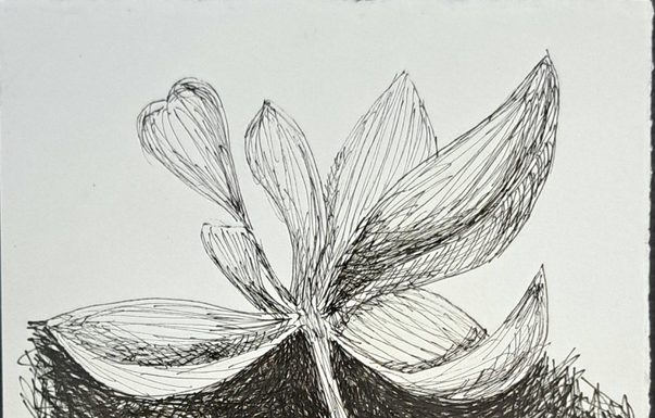 Exposição “UNA”, de Roberto Galvão, reúne obras em Fortaleza